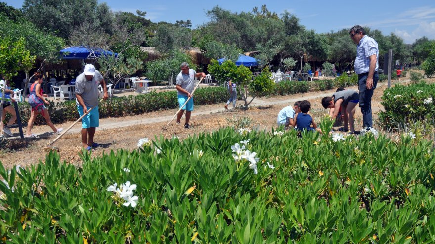 MUĞLA'DA KUM ZAMBAKLARIYLA ÜNLÜ HALK PLAJI TEMİZLENDİ