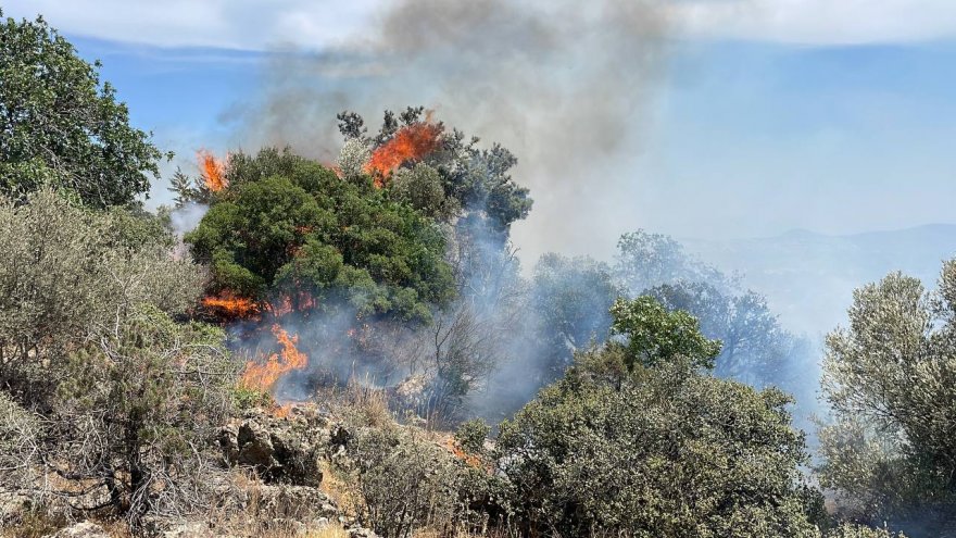 YERLEŞİM YERLERİNE YAKIN MAKİLİK ALANDA YANGIN ÇIKTI