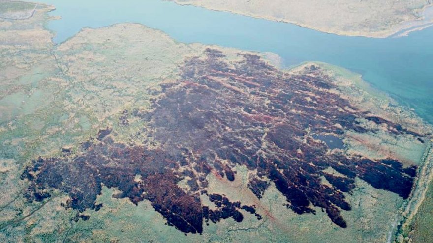 YANGIN ÇIKARAN 3 ŞAHIS YAKALANDI