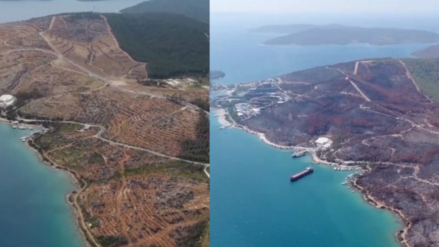 ORMAN GENEL MÜDÜRLÜĞÜ YEŞİLLENDİRİLEN ALANLARI PAYLAŞTI: “YANSA DA ORMAN KALIR”