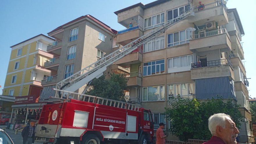 BEŞİNCİ KATTA MAHSUR KALAN KEDİYİ İTFAİYE KURTARDI