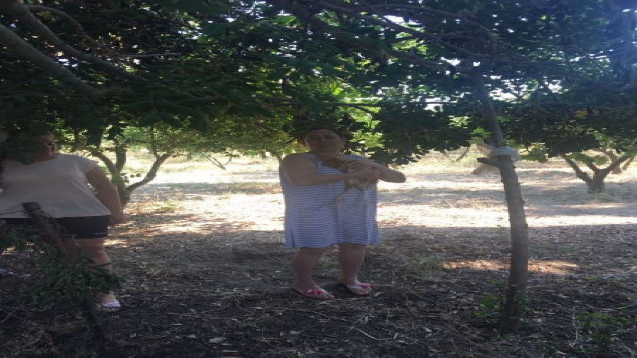 Tavuğun imdadına Akut Yetişti