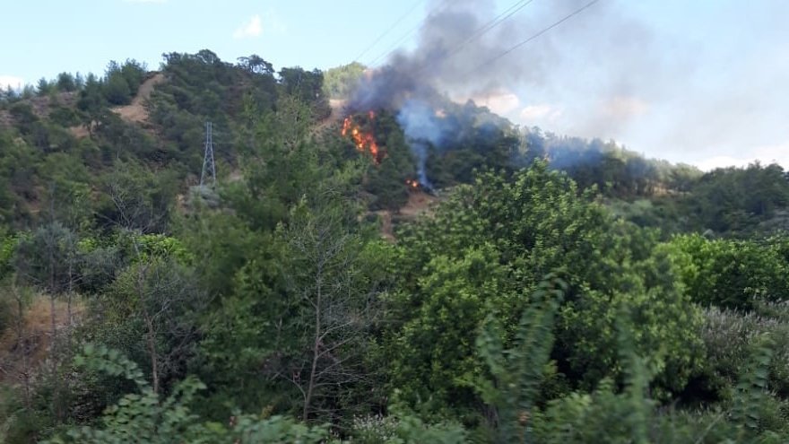 ORMAN YANGINI ÇIKTI