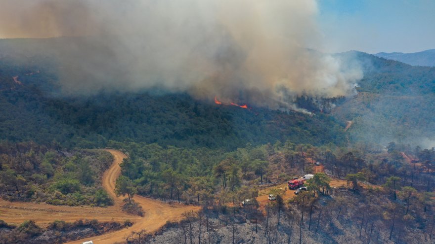 Marmaris'teki orman yangınına havadan ve karadan müdahale ediliyor