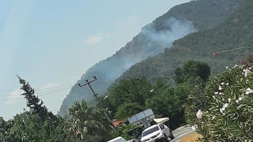 KÖYCEĞİZ'DE ÇIKAN ORMAN YANGINI KONTROL ALTINA ALINDI