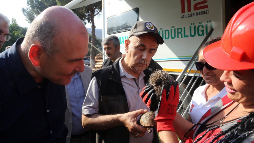 YANGINDA MAHSUR KALAN KİRPİ VE KAPLUMBAĞAYI HAYVANSEVERLER KURTARDI