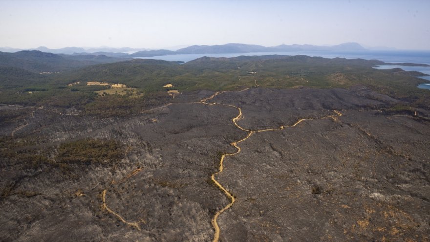 Yangın, Marmaris'i kömür karasına bürüdü