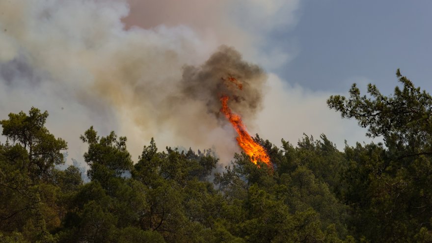 Marmaris'teki orman yangınıyla ilgili bir kişi gözaltına alındı