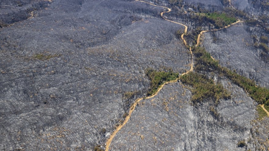 MBB:“3 BİN 417 HEKTAR ALAN ZARAR GÖRDÜ”