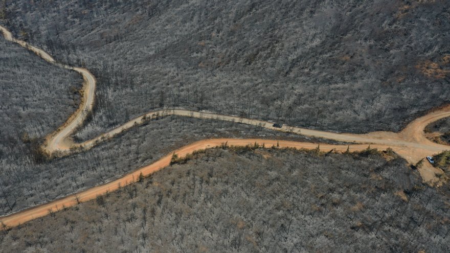 Marmaris'te yanan ormanlık alanda soğutma çalışmaları sürüyor