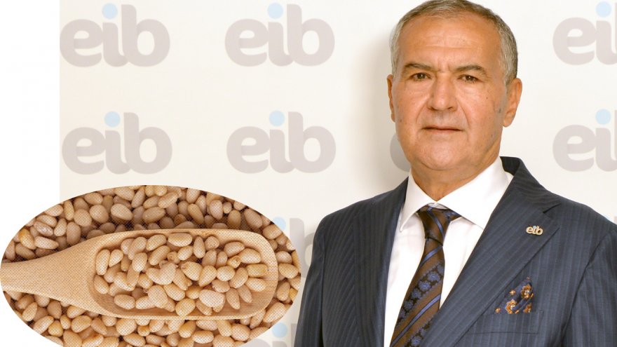 ÇAM FISTIĞI İHRACATI SON 5 SENEDE YÜZDE 68 ARTTI 