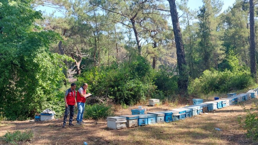 Marmaris yangınında hayvanlar için de seferber olundu