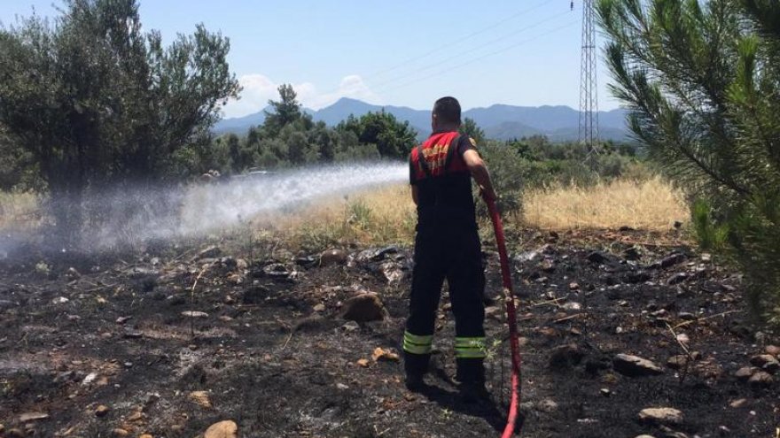 ORMAN VE ZİRAAT ALANINDA ÇIKAN YANGIN SÖNDÜRÜLDÜ