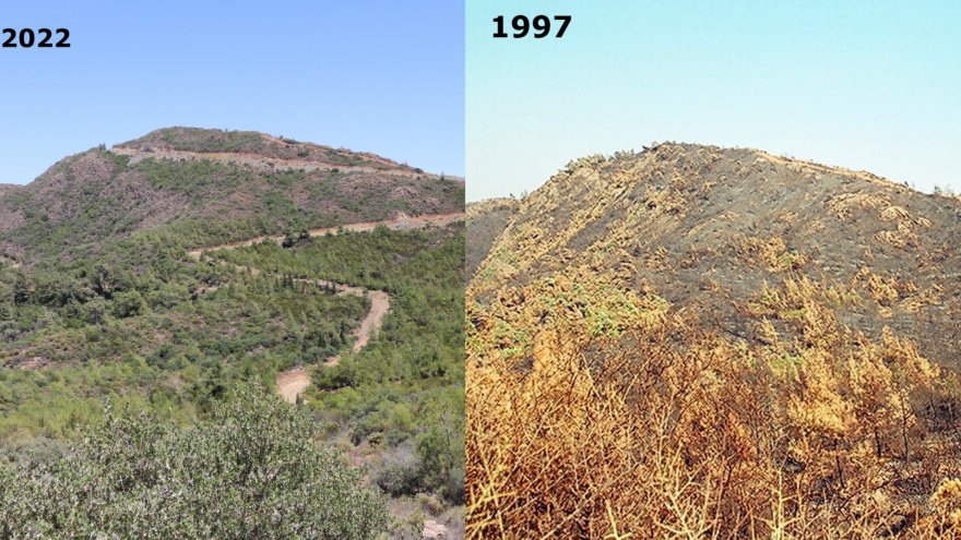 ALEVLERİN ÖNÜ 25 YIL SONRA YİNE AYNI SIRTTA KESİLDİ