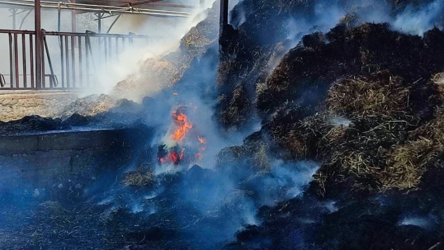 Bir Çiftlikte Çıkan Yangın Söndürüldü