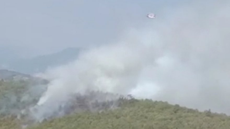 BODRUM’DA ORMAN YANGIN ÇIKTI