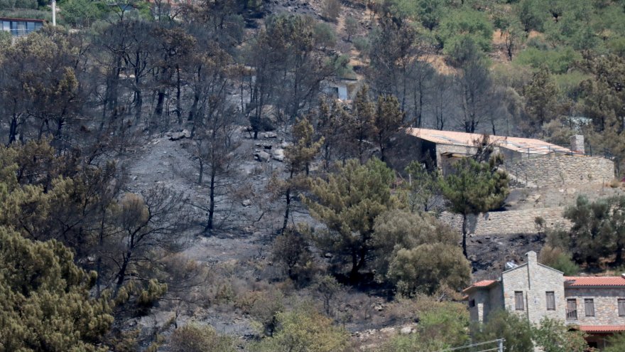 YANAN ORMANLIK ALANDA SOĞUTMA ÇALIŞMALARI SÜRÜYOR