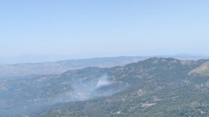 MİLAS'TA ÇIKAN YANGIN KONTROL ALTINA ALINDI