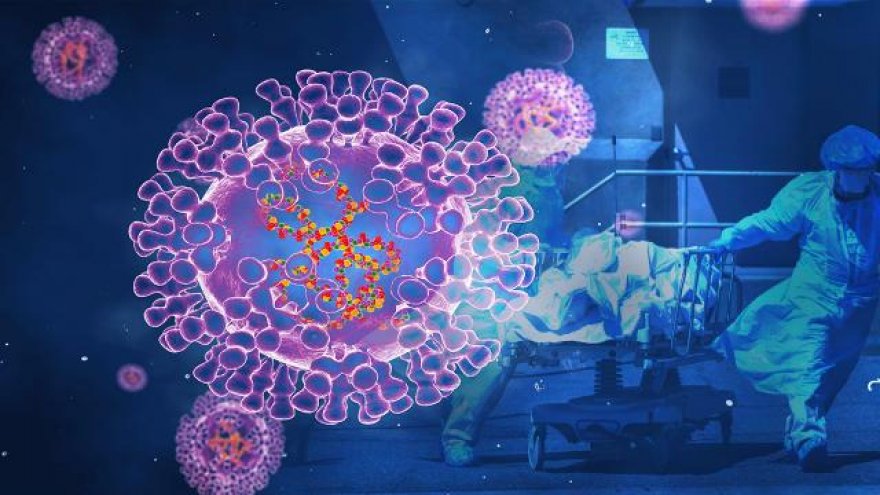 DSÖ'DEN MAYMUN ÇİÇEĞİ ALARMI