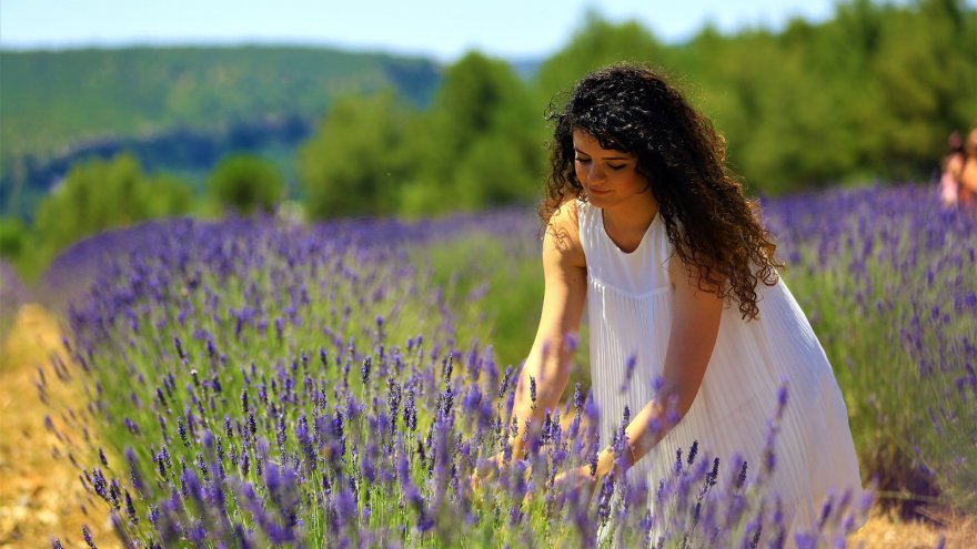 LAVANTA BAHÇESİ 1 AĞUSTOS’A KADAR ZİYARETÇİLERİNİ BEKLİYOR