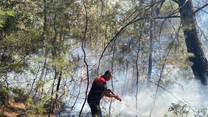 ORMAN VE MAKİLİK ALANDA ÇIKAN YANGIN KONTROL ALTINA ALINDI