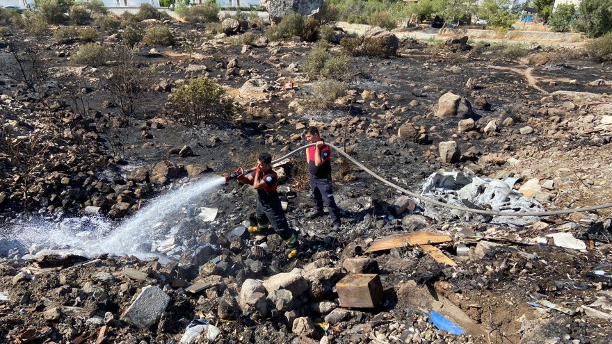 BODRUM’DA ÇIKAN YANGINDA 5 DÖNÜM ALAN YANDI