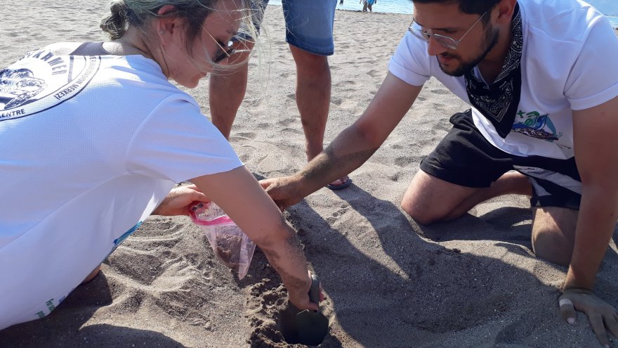 CARETTALARIN İZTUZU İLE ÇALIŞ PLAJLARINI TERCİH NEDENLERİ ARAŞTIRILIYOR