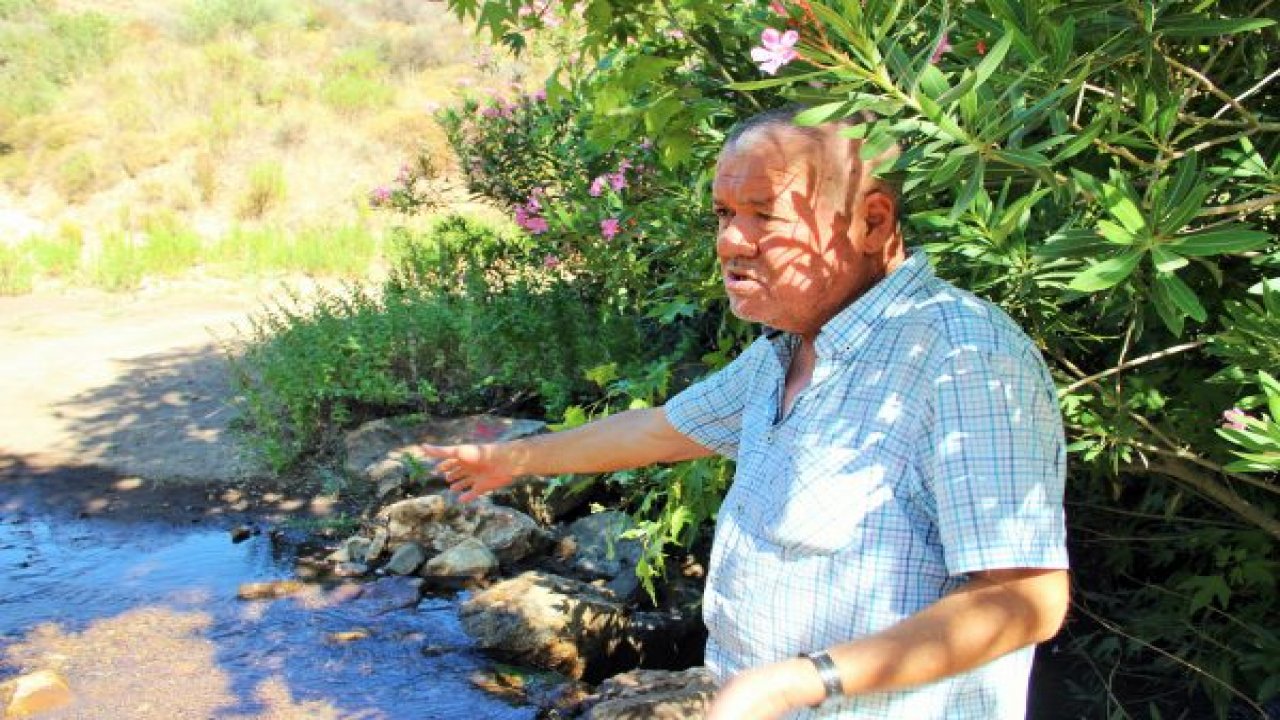 Köy sakinleri şaşkına döndü