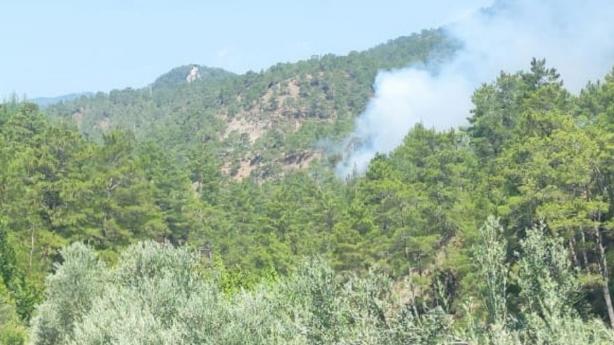 ORMANLIK ALANDA ÇIKAN YANGIN SÖNDÜRÜLDÜ