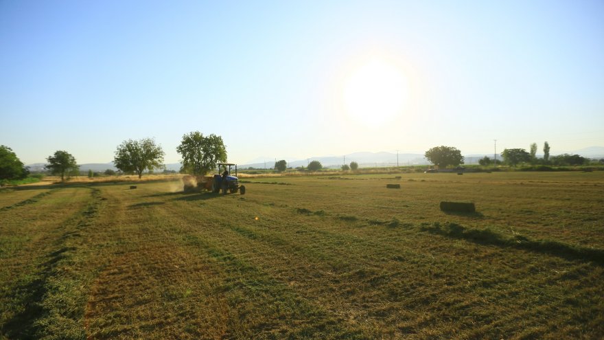 MUĞLA BÜYÜKŞEHİR BELEDİYESİNDEN ÜRETİCİYE HAYVAN YEMİ DESTEĞİ