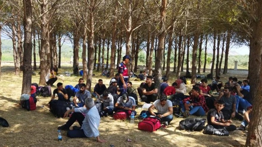ORMANLIK ALANDA 81 DÜZENSİZ GÖÇMEN YAKALANDI