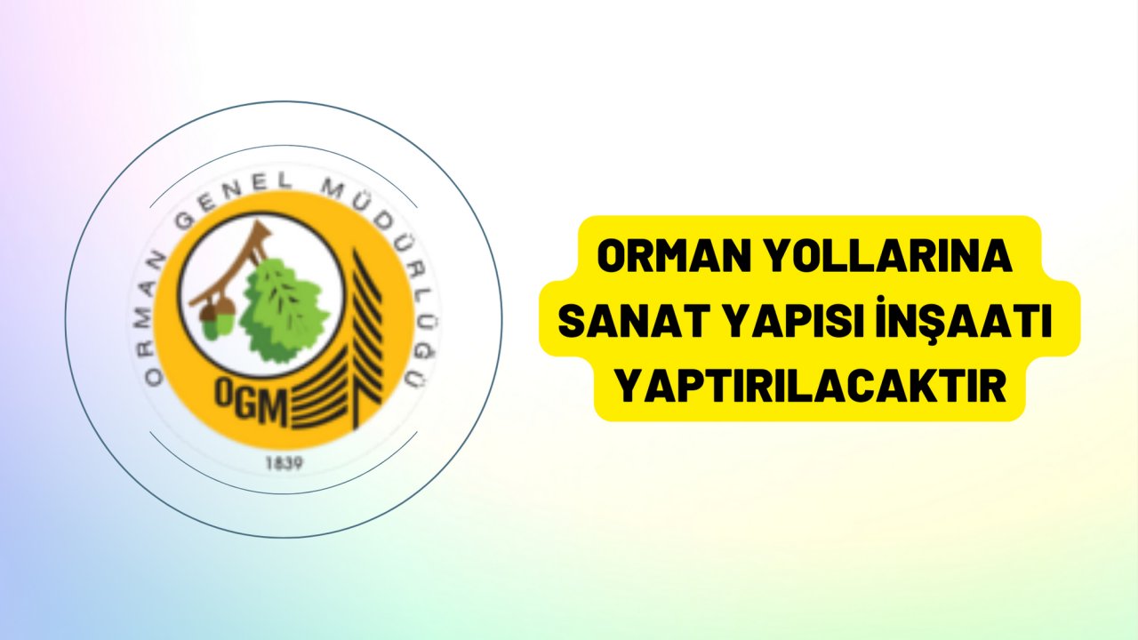 Orman yollarına sanat yapısı inşaatı yaptırılacaktır
