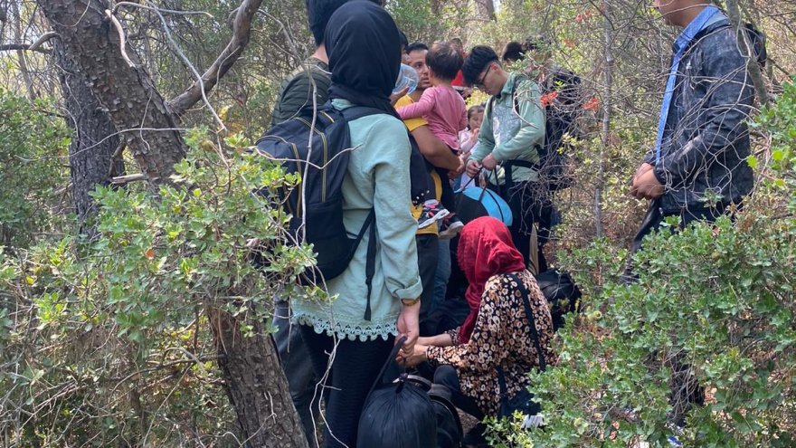 ORMANLIK ALANDA 80 DÜZENSİZ GÖÇMEN YAKALANDI