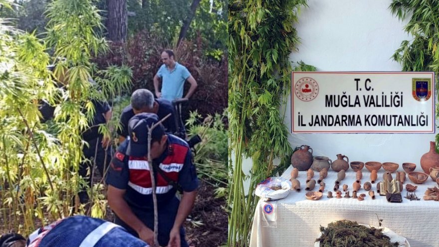 BAHÇESİNDE KENEVİR YETİŞTİREN ZANLI TUTUKLANDI