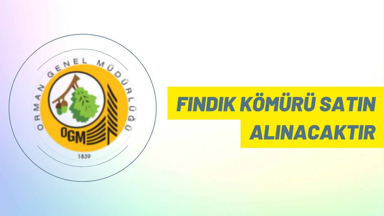 Fındık kömürü satın alınacaktır