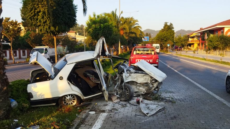 Ağaca çarpan otomobilin sürücüsü öldü