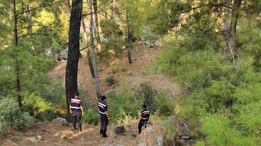 Jandarma ekipleri orman yangınlarına karşı devriye görevi yapıyor