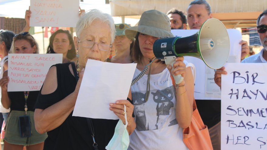 Hayvanseverler isyan etti: “Faillerin yakalanarak cezalandırılmasını talep ediyoruz”