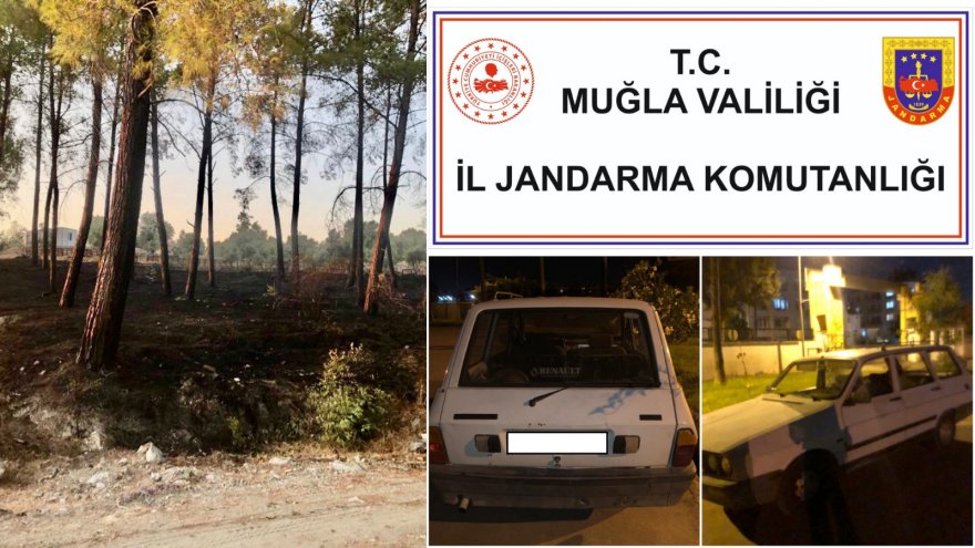 Maytapla ormanı yakan 4 şüpheli yakalandı