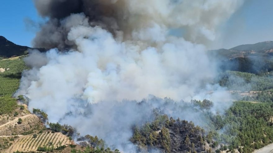 Denizli-Muğla sınırında orman yangını çıktı