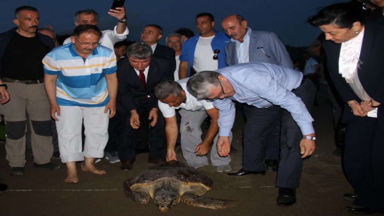 Carettaların denizle buluşması