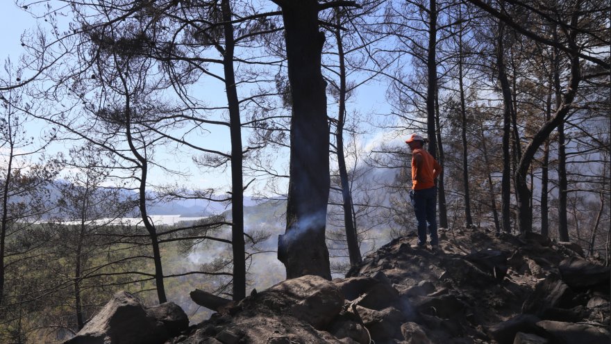 Marmaris'teki orman yangını kontrol altına alındı