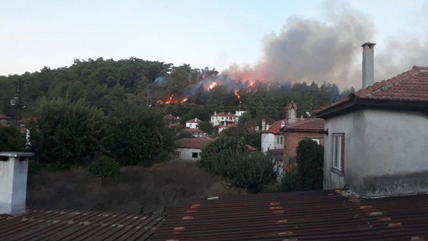 ULA'DA ORMAN YANGINI ÇIKTI