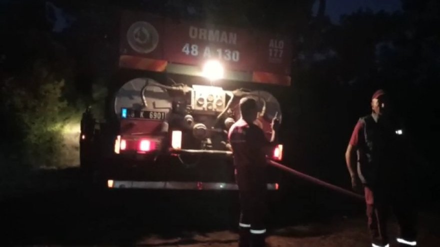 ULA'DA ÇIKAN ORMAN YANGINI KONTROL ALTINDA