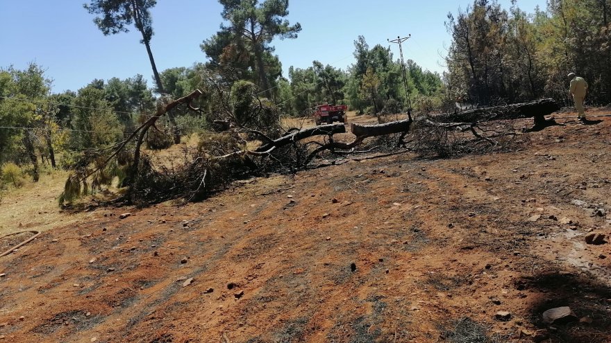 Elektrik akımına kapılan vatandaş hayatını kaybetti