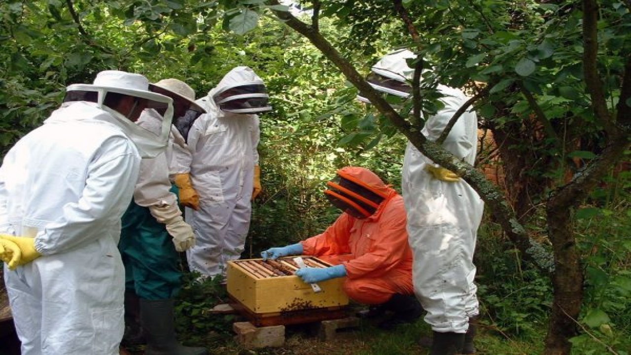 Orman köylüsüne 22,5 milyon destek