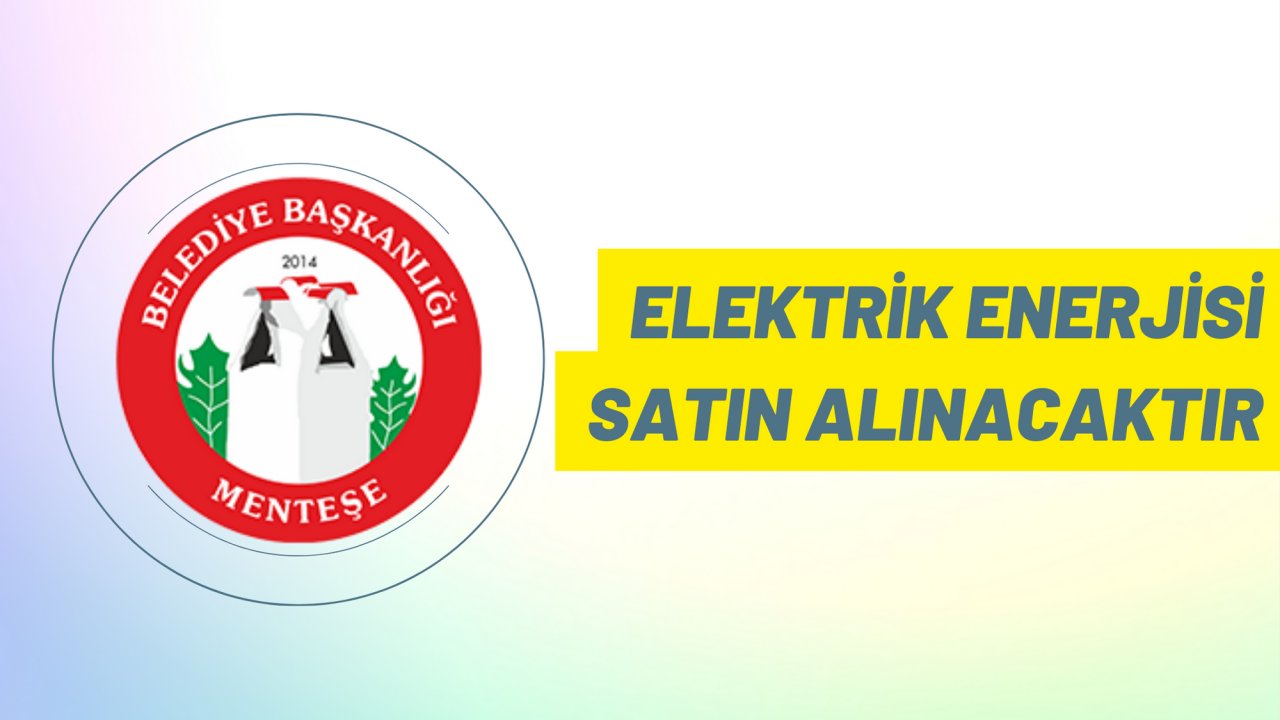 Elektrik enerjisi satın alınacaktır