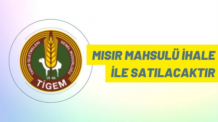 Mısır mahsulü ihale ile satılacaktır