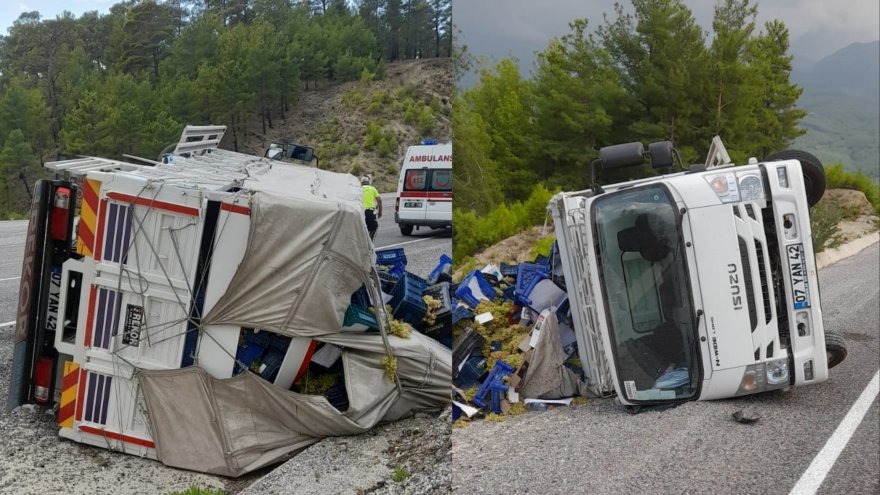 Üzüm yüklü kamyonet devrildi