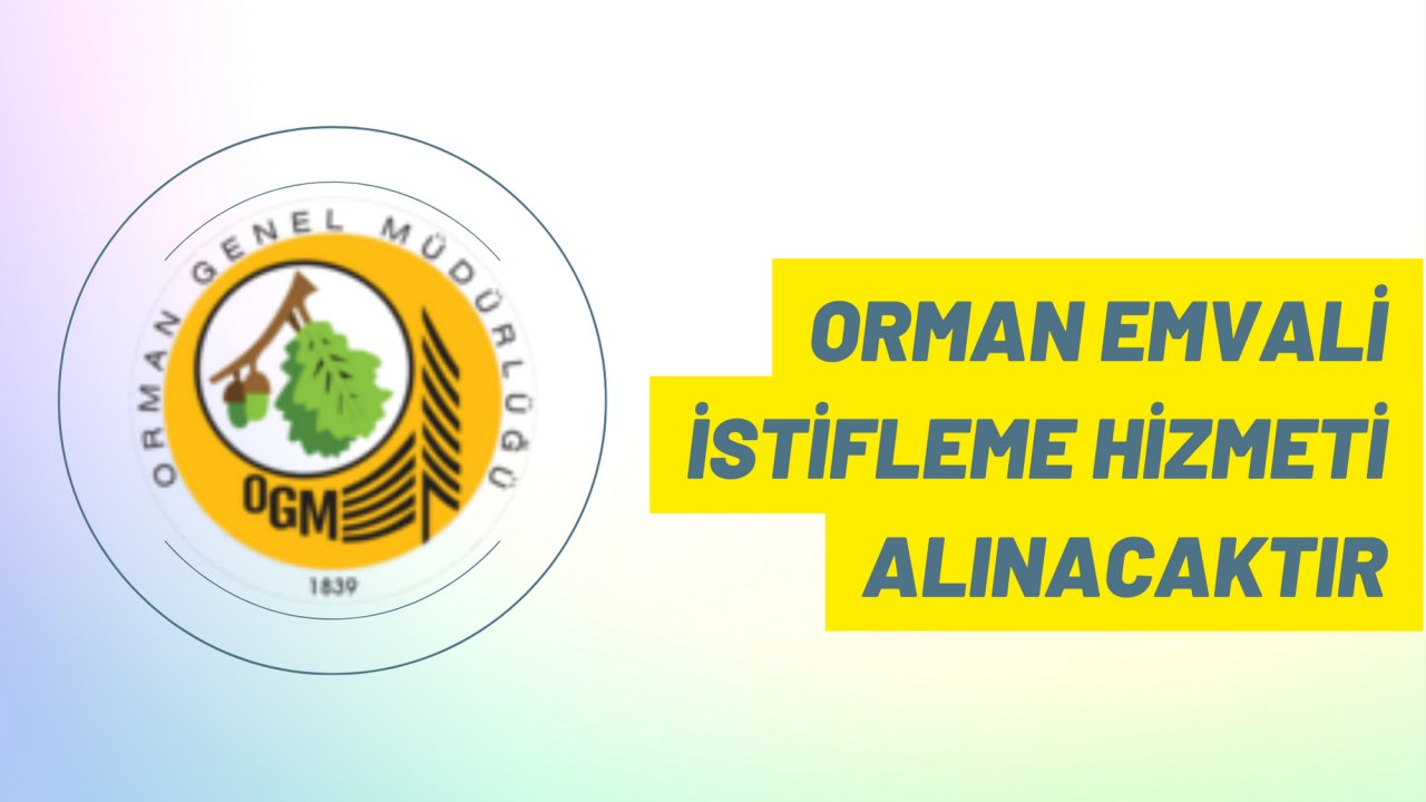 Orman emvali istifleme hizmeti alınacaktır